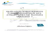 QUELLE(S) STRATEGIE(S) FONCIERE(S) POUR LES ......2013/10/04  · eau > Prévention et gestion des inondations en Rhône-Alpes > Communication dans le cadre du volet C des contrats