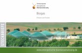 Biogas · 2019. 2. 26. · Das übergeordnete Ziel im Bereich Biogas besteht darin, effiziente, emissionsarme und flexible anaerobe Verfahren für die Anforderungen des zukünftigen