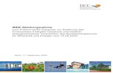 BEE-Stellungnahme...vorliegende Entwurf sieht vor, dass im Jahr 2050 „der gesamte Strom, der im Staatsgebiet der Bundesrepublik Deutschland erzeugt oder verbraucht wird, treibhausgasneutral
