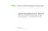 Schuldenberatung Aargau – Solothurn · 6 Jahresbericht 2013 Interne Qualitätssicherung Die wiederkehrende interne Evaluation der Klienten/ Klientinnen-Befragung stellte der SBAS
