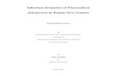 Infection dynamics of Plasmodium falciparum in Papua New ... · Henning. Thanks also to the GR members Till Voss, Christian Flück, Katrin Witmer, Sophie Oehring, Igor Niederwieser,