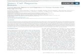 Transcriptome Signature and Regulation in Human Somatic ... Stem Cell Reports Resource Transcriptome