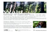 Wald - WordPress.com...Wald Exkursion mit Diana Soldo Samstag, 19. September 2020, 14.00 Uhr Der Wald ist eines der spannendsten Ökosysteme der Erde und ein Zu-hause für über 20’000