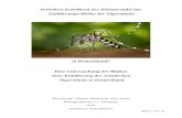 New Inwiefern beeinflusst der Klimawandel das Etablierungs-Risiko … · 2017. 11. 2. · Seite 3 von 14 Einleitung In unserem Klimaprojekt haben wir uns mit der Etablierung der Tigermücke