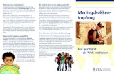 Einzelimpfungen fe Meningokokken Impfungcrm.de/meningokokken/Meningokokken.pdf · Wie kann man sich schützen? Den besten Schutz vor Meningokokken bietet die Imp-fung. In Deutschland