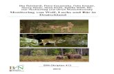 Monitoring von Wolf, Luchs und Bär in Deutschland · Trailling 1a, 93462 Lam . Ditmar Huckschlag Forschungsanstalt für Waldökologie und Forstwirtschaft ... Die Standards wurden