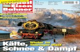 Kälte, Schnee & Dampf in diese Ausgabe... · 2018. 11. 28. · B13411 Modell Eisen Bahner Die führende Fachzeitschrift Deutschland 5,50 € Österreich 6,40 € Schweiz 9,80 sFr