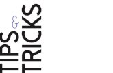 TIPS TRICKS - Freenioutek.free.fr/astu/ast19/six_segolene_tips.pdf · Texte avec dégradé de couleurs Illustrator. 01 Le raccord de tracé à partir d’un calque vectoriel ... «créer