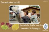 Freundeskreisheft - Marienpflege · und dürfen es auch "alleine" putzen, Pferde auf die Koppel führen, bei der Stallarbeit mit-helfen und erste Übungen auf dem Pferde - rücken