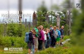Nationalpark macht Schule...MACHT SCHULE Angebote für Schulklassen Nationalparkverwaltung Bayerischer Wald Liebe Lehrerinnen und Lehrer! Eine moderne, sich an ak-tuellen naturkundlichen