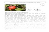 New Der Apfel · 2017. 9. 5. · Der Apfel 1 Äpfel wachsen auf einem Apfelbaum. Apfelbäume wachsen beinahe überall auf der Welt, in Europa, Amerika, Afrika und Australien. Es gibt