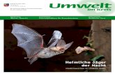 Umwelt im Kreis 20112 · Fledermäuse verfügen über viele in der Tierwelt einmalige Fähigkeiten und Eigenschaften: Sie können als einzige Säugetiere aktiv fliegen, sie benutzen