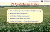 Mecklenburg Vorpommern PS-Empfehlungen in Mais ... Mecklenburg Pflanzenschutzdienst Vorpommern Anbaufläche Mais in MV der letzten 18 Jahre 66 65 72 80 84 90 106 117 125 139 161 146