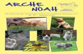 Tierschutzverein im Landkreis Biberach e.V. ARCHE NOAH€¦ · Stuttgart, bekannt geworden am 18. Juli: Animal Hoarding ist ein bundesweites Phänomen, unter dem die Tiere, aber auch
