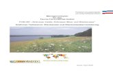 Managementplan für das Fauna-Flora-Habitat-Gebiet 2130-391 ...€¦ · Umsetzung der gebietsspezifischen Erhaltungsziele für das NATURA 2000- Gebiet (siehe Anhang, Stand: August