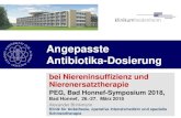 Angepasste Antibiotika-Dosierung · Angepasste Antibiotika-Dosierung bei Niereninsuffizienz und Nierenersatztherapie PEG, Bad Honnef-Symposium 2018, Bad Honnef, 26.-27. März 2018