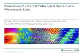 Simulation of a Dental Tribological ... - science-media.orgscience-media.org/userfiles/1/presentations/1_presentation_1.pdf¢ 