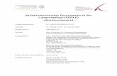 Multiprofessioneller Personalmix in der Langzeitpflege ... · Multiprofessioneller Personalmix in der Langzeitpflege (PERLE) - Abschlussbericht - Förderkennzeichen: AZ: 80311/290/000/01/03-22