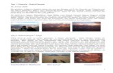 Tag 1: Phoenix - Grand Canyonkrukewitt.de/wp-content/uploads/2017/07/2009-02-USA.pdf · Tag 2: Grand Canyon – Page Wäre ohne ja auch zu schön gewesen, in dieser Jahreszeit - heute