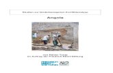 Konfliktanalyse Angola Endfassunglibrary.fes.de/pdf-files/iez/03339.pdf · Namibe und konzentrierten sich in ihren wirtschaftlichen Aktivitäten vor allem auf den Handel. Parallel