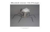 Modell einer T4 Phage - Der T4 Phage erkennt an den Oberfl£¤chenproteinen seine Wirtszelle, E.coli
