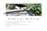 Hello Kitty TITEL - schwertberger.orgschwertberger.org/pdf-Dateien/HELLO_KITTY_Vl_Vc_GIt_kompl.pdf · Hello, Kitty Variationen über das franz. Volkslied: "Le chat à Jeanette" 5:45´