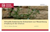 Virtuelle botanische Exkursion zur Neuenburg · wachsenden Arten einer Steigerung um den Faktor 2,7 entspricht. Sicher ist die Artenliste damit noch nicht vollständig, es dürften