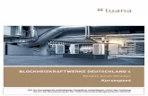 Blockheizkraftwerke Deutschlan D 4 - DS Deutsche Sachwertds-deutsche-sachwert.de/sites/default/files/fonds_downloads/luana... · Die Anbieterin - Luana Capital New Energy Concepts