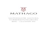 Mathematik Matura Vorbereitungskurs BHS – Cluster W1€¦ · Skriptum zum Mathago Mathematik Matura Vorbereitungskurs BHS Cluster W1 V1.0 14 Umkehraufgaben der Differentialrechnung