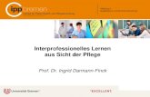 Interprofessionelles Lernen aus Sicht der Pflege … · Meso-ebene Makro-ebene. III. Intra- und Interprofessionelles Handeln in unterschiedlichen systemischen Kontexten verantwortlich