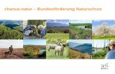 chance.natur – Bundesförderung Naturschutz€¦ · das Programm „chance.natur“ist das Förderprogramm des Bundes zur „Errichtung und Sicherung schutzwürdiger Teile von Natur