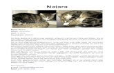 Naiara - Tierheim Lahrtierheim-lahr.de/wp-content/uploads/2017/08/Naiara_Steckbrief.pdf · Naiara Name: Naiara Rasse: Hauskatze Alter: 3 Jahre Geschlecht: Weiblich Die liebe Naiara