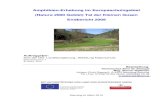Amphibien-Erhebung im Europaschutzgebiet (Natura 2000 ...€¦ · Amphibien-Erhebung im Europaschutzgebiet (Natura 2000 Gebiet) Tal der Kleinen Gusen Endbericht 2009 Auftraggeber: