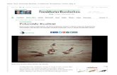 Velte, Olaf, Polaroide Realität, Frankfurter Rundschau ... · Reise in die Gegenwirklichkeit: Die Bad Homburger Galerie Artlantis zeigt die Ästhetik des Sofortbildes mit Werken