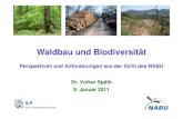 Waldbau und Biodiversität - Naturschutztage€¦ · Althölzer im LK Reutlingen •Seite: 23 Waldbau und Biodiversität Höhlenüberfluss im Dauerwald Pfullingen NABU-Naturwaldgemeinde