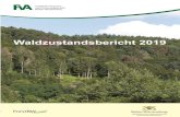 Waldzustandsbericht 2019 - Baden-Württemberg.de · Waldzustandsinventur (TWI), die Bodenzustandserhe-bung (BZE) und die Immissionsökologische Walder-nährungsinventur (IWE). Seit