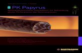 Vaskuläre Intervention //Koronar PK Papyrusbiotronik.cdn.mediamid.com/cdn_bio_doc/bio23420/14075/bio23420.pdf · PK Papyrus Profil für hervorragende Platzierbarkeit Mit dem gecoverten
