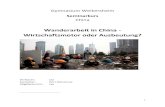 Wanderarbeit in China - Wirtschaftsmotor oder Ausbeutung? · PDF file 3 1.Einleitung „The year I turned seventeen, full of dreams, I decided to go to the city to work. I wanted to