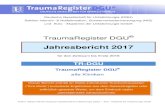 Jahresbericht 2017 - TraumaRegister DGU€¦ · 13 Liste von Publikationen aus dem TraumaRegister DGU ® ... ten Daten ab. Der RISC II Score benötigt 13 verschiedene Angaben, um