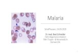 Malaria - OSIR Malaria Schaffhausen, 14.03.2019 Dr. med. Beat Schneider FMH Allgemeine Medizin FMH Tropen