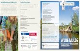 Die Wildflusslandschaft als Naturschatz Steckbrief zum Projekt€¦ · Georg Rast E-Mail: georg.rast@wwf.de Telefon: +49 (0)30 311 777 208 Koordination Umsetzung WWF-Projektbüro