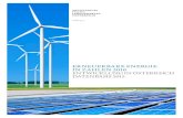 BMLFUW Broschüre Erneuerbare Energie in Zahlen · Zielvorgaben und die Anwendung effektiver und effizienter energiepolitischer Maßnahmen erforderlich. Der österreichische Bruttoinlandsverbrauch