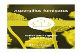 Patienten-Ratgeber Mukoviszidose | Aspergillus fumigatus€¦ · Aspergillus kann verschiedene Beschwerden verursachen. Die bei Mukoviszidose wichtigste Erkrankung ist die Allergische
