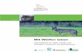 Mit Wölfen leben - Startseite | LfU€¦ · Kluth und Ilka Reinhardt - in Spreewitz ist federführend mit der wissenschaftlichen Datenerfassung über die Wölfe, dem Monitoring,