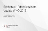Becherzell- Adenokarzinom Update WHO 2019€¦ · •Klinik: Symptome einer Appendizitis •Symptome einer Appendizitis •Unspezifische Bauchschmerzen •Abdominale Masse •Epidemiologie:
