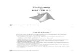 Einführung in MATLAB 5 - KIT · MATLAB 5.3 Paul Weber 22.06.99 Rechenzentrum Universität Karlsruhe 2 von 95 Was ist MATLAB? MATLAB steht für MATrix LABoratory und ist ursprünglich