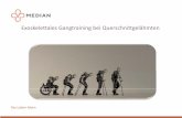 Exoskelettales Gangtraining bei Querschnittgelähmtenlv-selbsthilfe-berlin.de/wp-content/uploads/2016/09/Marz_Loose... · • 67% männlich, 33% weiblich, 0,3% Kinder (0‐14 Jahre)