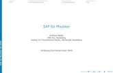SAP für Physiker - thphys.uni-heidelberg.demielke/folienVorlesungSS09.p… · SAP Module und Transaktionen in diesen Funktionalen Bereichen Finanzen FI Finance 11.064 CO Controlling