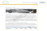 Beschneiungsanlagen und Kunstschnee€¦ · Beschneiungsanlagen und Kunstschnee 2 Bayerisches Landesamt für Umwelt 2013 . Im Winter 2008/09 werden in Bayern bereits knapp 600 ha