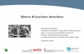 Wenn Knochen brechen - Wachkoma€¦ · Journal of Bone and Min Res. 2011(26) pp 229–238 . o . o . o . o . o . Osteoklastenvorläufer (hämatopoietische Stammreihe) Auslöser: Zytokine,
